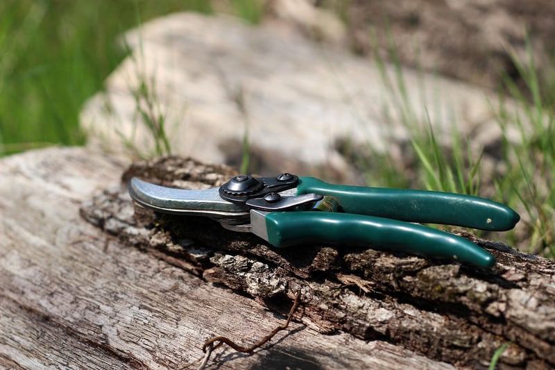 Pixie Pruning Methods