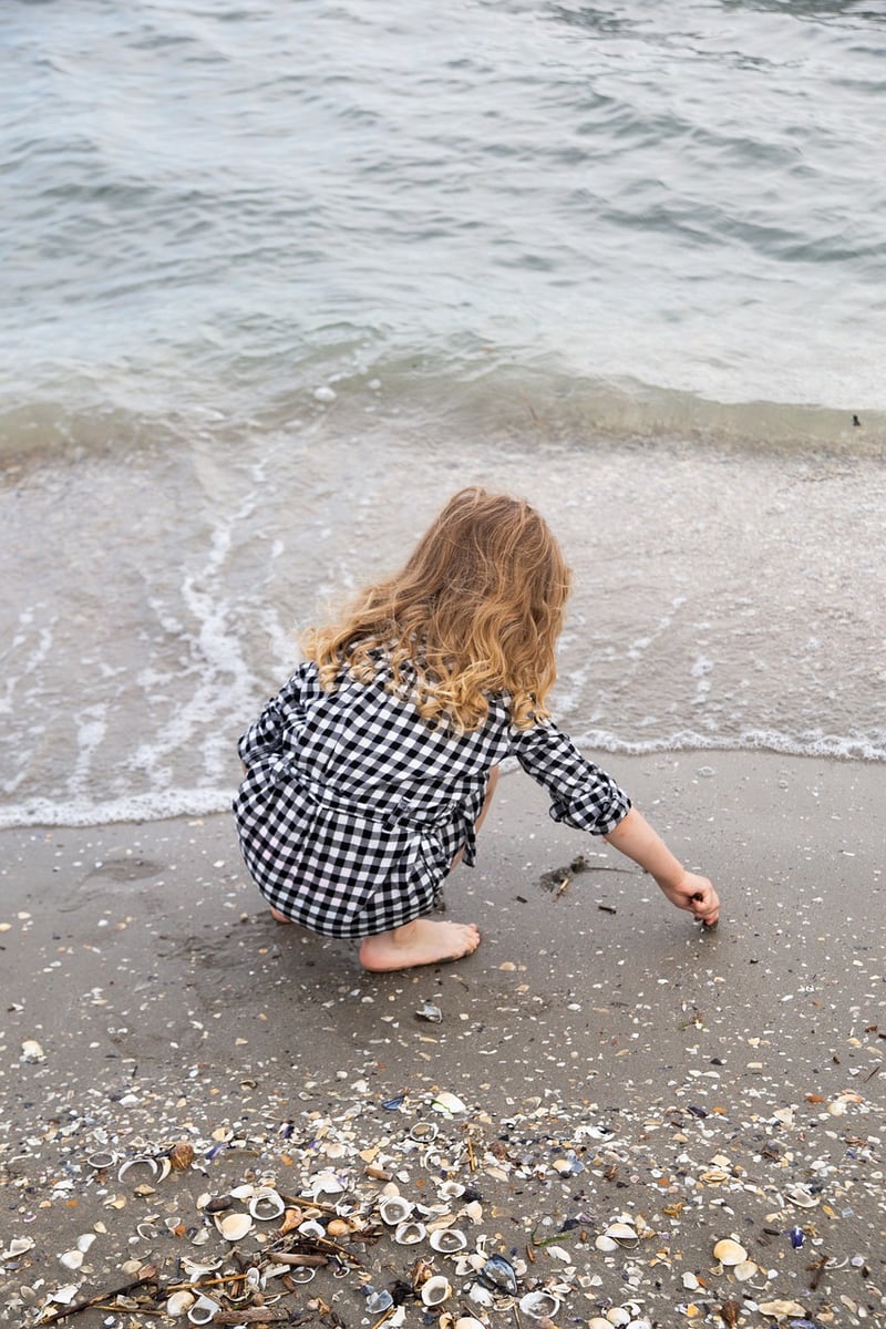 Seaweed